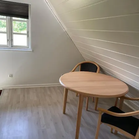 Anneks V/stevns Klint