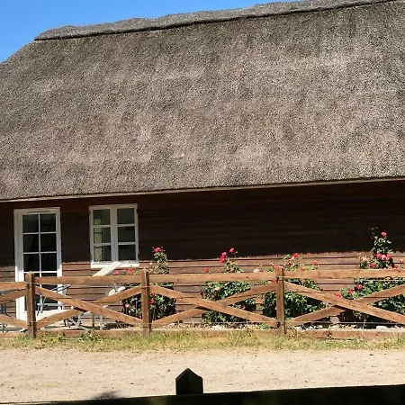 Anneks V/stevns Klint Store Heddinge