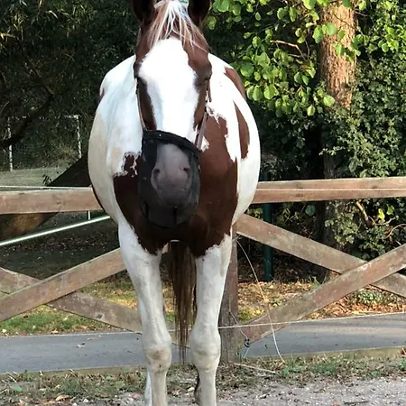 Anneks V/stevns Klint Store Heddinge